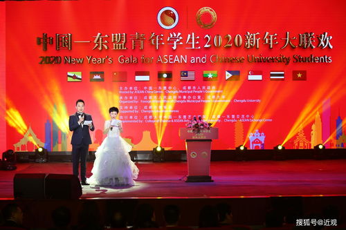 文化共融 青年筑夢(mèng) 中國(guó)-東盟青年學(xué)生2020新年大聯(lián)歡在成大綻放友誼之花